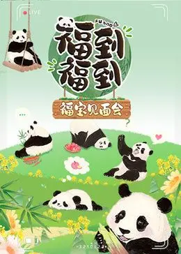 《福到福到福宝见面会》：熊猫福宝萌翻全场！独家揭秘见面会幕后花絮与感动瞬间