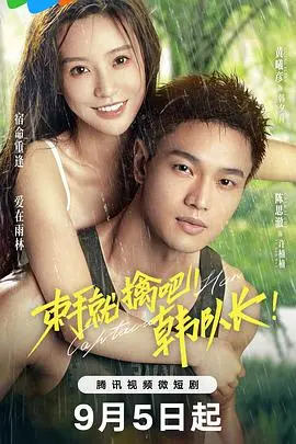 《束手就擒吧！韩队长》：爆笑喜剧下的正义之光，韩式幽默来袭！