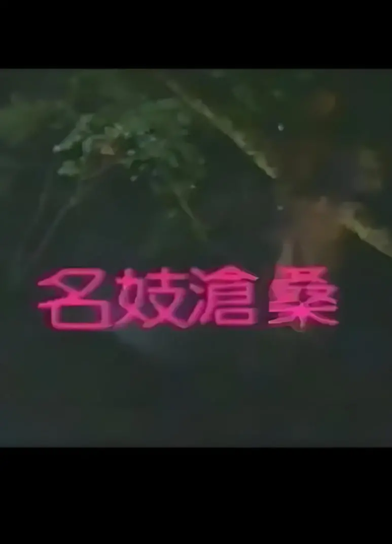 《名妓沧桑》：揭秘乱世红颜的悲情命运，一部触动灵魂的史诗级电影