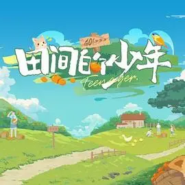 《田间的少年》：绿茵场上的青春悸动，梦想与汗水交织的纯粹赞歌！