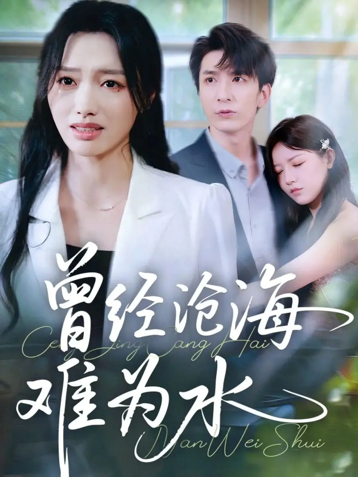 《新曾经沧海难为水》：跨越时空的爱情奇迹，颠覆你对命运的认知