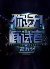 《你好！面试官 第5季》：职场新人必看指南，从容应对面试挑战，解锁职业新篇章！