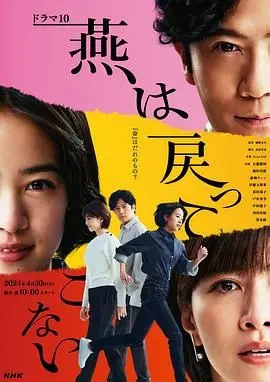《燕子不再归来》：一段关于失去与救赎的深刻旅程，致敬那些不曾离去的爱与勇气